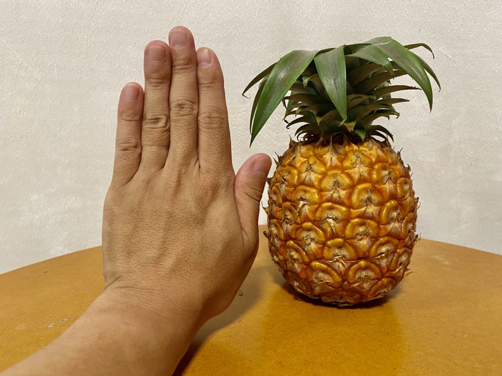 らでぃっしゅぼーや　パイナップル　大きさ